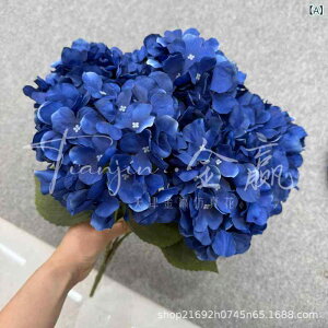  z u[P ԑ VNt[ z g AeB[N EFfBO Be CeA I[^J[ O