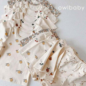 pW} LbY j̎q ̎q ėp  Rbg _炩 Gǂ ʋC  [EFA ㉺Zbg 킢 ԕ  vg  QԒ ig  K JWA c