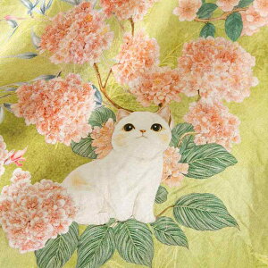 s[X LbY ̎q xr[ q  `CihX   Vؕ   T}[s[X hX _炩 Gǂ ʋC K L ԕ ĕ c ct 