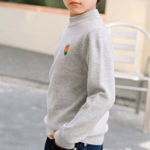 jbg Z[^[ LbY j̎q ̎q r E[ bNlbN vI[o[  n LN^[ efBxAfUC _炩ȔG O΍ JWA Ci[ ʊw ig