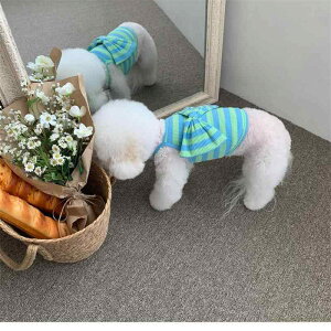   ybgEFA XC[g {  TVc t Lk Xgb` ȍa O[ 킢 K[[ U o gCv[h rVt[[ |jA ViEU[ 