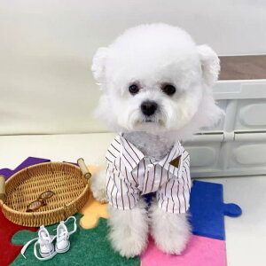 ybg hbOEFA ^ ^p t XgCv Vc  JWA Vv  [EFA i U o |GXe  zCg