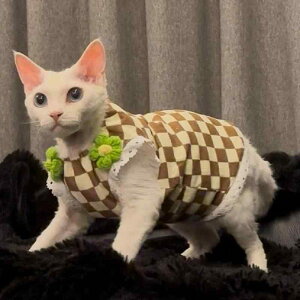 L  XtBNXL f{bNXL }`J t m[X[u s[X Ci[  킢 _炩 Xgb` ʋC |GXe ig  JWA O[ 