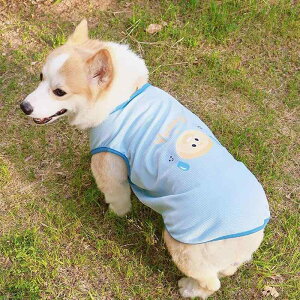  Č R[M[ rV _bNXtg t   xXg ڐG⊴  ^Ngbv іh~ Ă΍ UVJbg U o h~ h u[ sN ItzCg