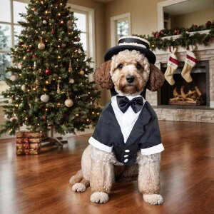   EFfBO tH[} 畞 am X[c ^LV[h Cxg LO ʐ^Be efB rVt[[ ^ ^ ybgEFA |GXe ubN Vo[ S