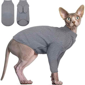 LpEFA jZbNX XtBNXL gbvX TVc nClbN xXg pW} p[X I[C  ʋC ig  ё΍ JWA O[ 킢