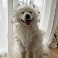 ペット服 犬 中型犬 大型犬 オールシーズン 薄手 ウェディングドレス タキシード フォーマル 結婚式 礼服…
