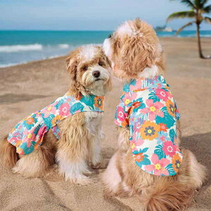  t  nCA r[` ][g JWAX^C Vc XJ[g |GXef y ʋC Mуt[ V̖ؕ ^ ^ ^Ή