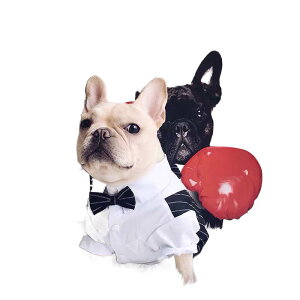 �y�b�g�� ���j�Z�b�N�X ���^�� �L �e�f�B �t�H�[�}���X�[�c �E�F�f�B���O�h���X �V���c �x�X�g �瑕 ���� �T���S�t���[�X ���F ���C�����b�h ��