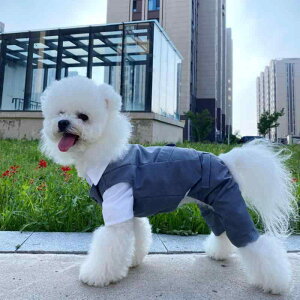 ybg ^ j̎q Lp X[c 畞 ^LV[h O[ am t  |GXe lr p[X Ȃ  p[eB[ tH[} U i K