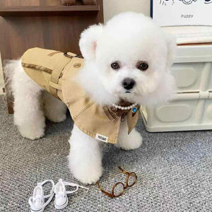  ^ Lp a LO  tH[}EFA pam R[g WPbg ^LV[h m |jA gCv[h rVt[[  킢 |GXef