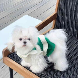  hbOEFA ^p vZX s[X t jbg Z[^[ 킢  }`[Y rVt[[ V[Y[ ViEU[ tH~ h  