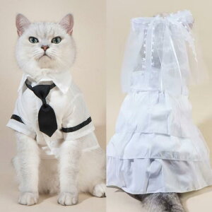  ^ ^p EFfBOhX 畞 tH[}EFA ^LV[h  hbOEFA  I LOBe Ă΂ Cxgp ߑ t Rbg |GXe 킢