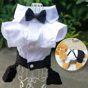  ^ ^ efB {[Ap  X^CbV p ueBbV tH[} X[cpc 畞 ^LV[h m |GXef p[eB[  LOB