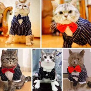 p efBp ^ X[c 畞 e[R[g  j LO tH[} p[eB[ tFCNc[s[X r |GXef lCr[ Cbh ubN bh