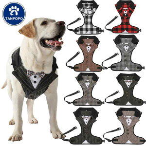 ybg p 񂿂  X[c tH[} ߑ  p[eB[ LOBe hbOEFA zn Lk `FbN 璹iq XgCv mg[ uE O[ ʂȃJ