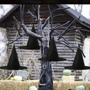 Xq fB[X nEB Xq Ƃ񂪂nbg `[ bV @g RXv  p[eB[ Cxgߑ jbgf pvL XpC_[ RE XJ Jt