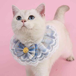 ybgpANZT[ L ^p NX}X [X 悾ꂩ  lN^C cC { I[V[Y JWA z 킢 敿 sN bh u[ O[ p[v