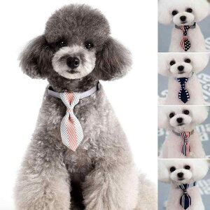 ybgp  L ^ qL lN^C  J[ tH[} p CObV  LO n̓ j Cxg XgCv ΂߃XgCv cXgCv tbO O