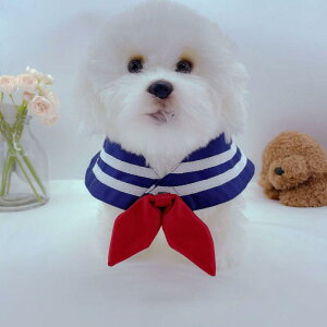 Lp X^C Z[[J[ } w o_i 悾ꂩ  킢  U ^ ^ ^ S L t`uhbO R[M[ gCv[h rVt