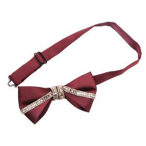 lN^C Y  VY tH[} {E^C CXg[ `F[ S[h Vo[ X[c I p[eB[ 瑕 |GXe ubN Cbh lCr[