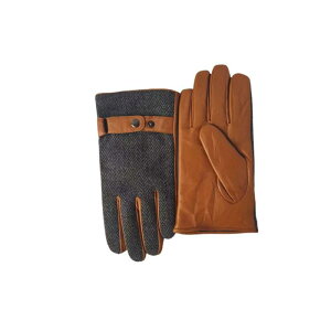  Y ~p h ۉ {v rv U[ h ʋC ~ 5{wO[u AEghA TCNO ] oCN ʋ rWlX JWA  `R[guE b