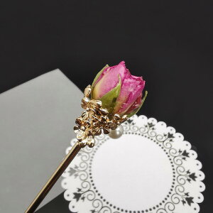 񂴂 fB[X KN [Y  `[t WH  Õ  At[  D i a   U   p[eB[ Ղ ig sN F 