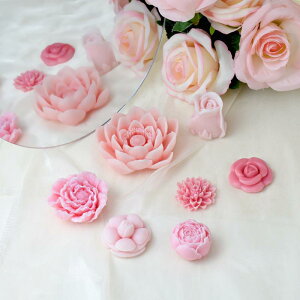 ٌ^ 3D t[ VR[h `R[g P[L َq Ăَq fU[g ϔM  o^C fR[V XC[c Ntg 킢 v[g Mtg ȒP 