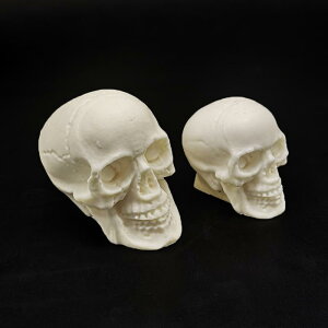 VR[h nEB XJ hN tH_ Lh 낤 `R[g P[LfR[V ٌ^ َq  Cxg DIY j[N` NA  _ ϋv