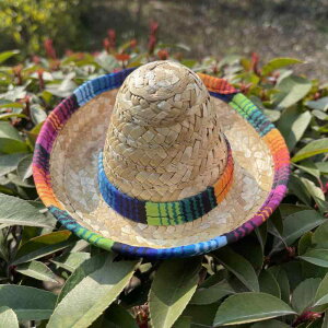 Xg[nbg ybgp l`p ~j nC LVJ Xq  T}[ GXjbN Ehgbv a16cm ^ ANZT[ wAoh wbhhX  RXv p[eB[