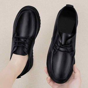 [NV[Y fB[X p ~ h ϖ ~[V[Y RbNV[Y HX Ɩp d ɂ Jy tbgV[Y ؂񂱌C [q[ Xgb`f