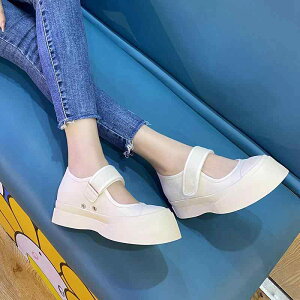 [WF[ fB[X t`X^C g 킢  EhgD XgbvV[Y V[Nbgq[6cm @ LoX JWA ig }WbNe[v u