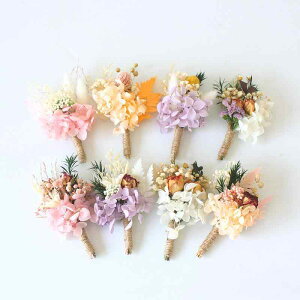 RT[W u[gjA  EFfBO I vU[uht[ hCt[ ~ju[P ԉ Vw VY Yl uCYCh AbV[ i ؂₩  tH[} p