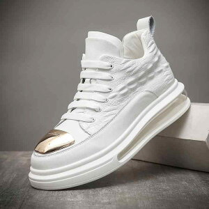 Xj[J[ jp nCJbg  v {v NR_C GA[NbV V[NbgC\[ gAbv Ռz NbV \tg\[ K I JWA X|[c