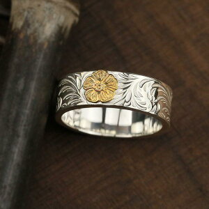 w Y jp t[TCY S[h[Y KN`[t ͗l łO nhCh g Be[W  Vo[J[ g JWA