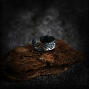 w jZbNX ˉ_ ^CVo[  nhCh  g AeB[N I[vO ߉\ IfUC 􉽊w͗l ig JWA 