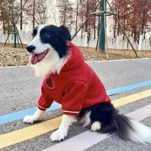  ^ S[fgo[ uh[  }t NX}X j h t[X N   ۉ Ȃ Jo[I[ |GXe ԐF ؂₩