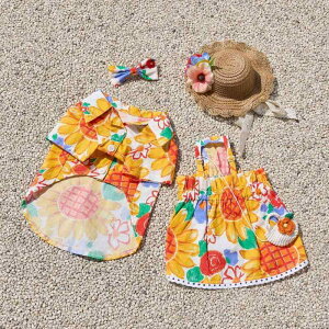  ؍ SNSf Ђ܂蕿vg Rbg  60Ԏ R[f s[X Vc H~ ^ ^ ^ ybgEFA