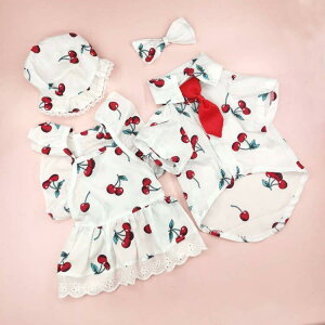 ybgEFA L  yAbN  t`X^C XJ[g Vc ZbgAbv Rbg 킢  o U qL q ^ ^