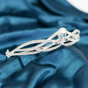  ԉ EFfBO uC_ eBA NX^ vZX NE J`[V WRjA   Vo[ zCg S[h bh p[