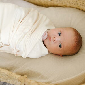  xr[ V 2_Zbg u҂ n  uPbg Ԃ c I[V[Y DG z ʋC K Q oY މ@