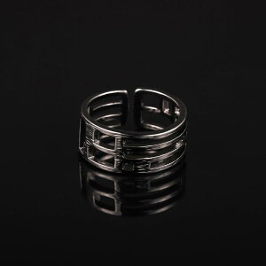 O jp 925Vo[ ^CVo[ ubN S[h i g Be[W 􉽊w͗l I  fUC  nhCh TCY\ w