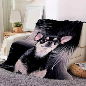 ѕz 킢 `   Ajvg uPbg q l LbY l tl |GXe |zc  ӂӂ