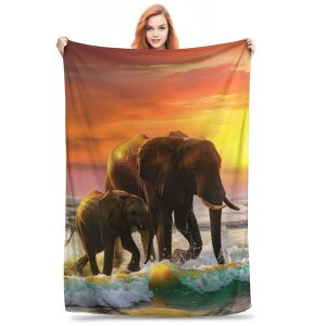 uPbg ѕz ]E ۃ`[t TZbgr[` [Ă tlf |GXe \tg K g y ӂӂ G芊炩 􂦂 I[V[Y Q \t@Jo[