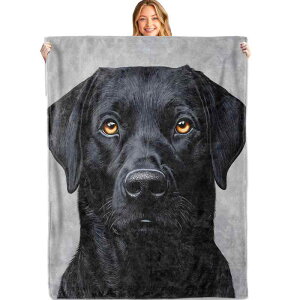 uPbg uh[go[  ubN   tl |GXe y _炩 ӂӂ g I[V[Y rO \t@ Qp Ђ|