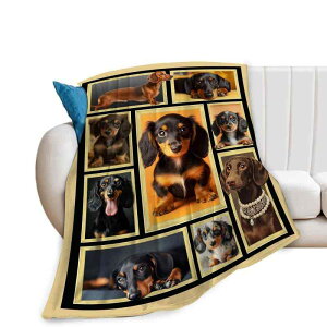 uPbg jp _bNXth vg tlѕz _炩 ӂӂ g I[V[Y |GXe \t@ xbh rO AEghA pr