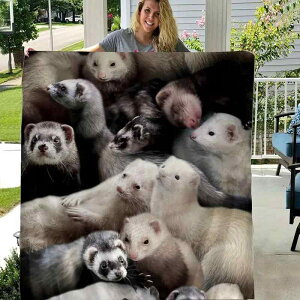 uPbg tFbg tl |GXeѕz ӂӂ _炩 g ۉ sNjbN xbhJo[ \t@Jo[ CeA Q ĕ