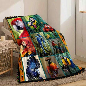 uPbg ѕz IE vg  |GXe _炩 \tg g  Ђ| }`Jo[ X[Pbg \t@ Q Lv AEghA s ItBX Ԓ h