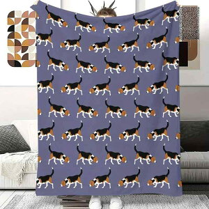 uPbg r[O  J[gD[ tlѕz Ђ| \t@Jo[ X[Pbg H~ g ۉ |GXe 􂦂 y ׃fW^vg