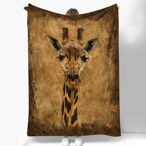 �ѕz �t�����l�� �� ���炩 �ӂ�ӂ� ���G��ǂ� �|���G�X�e�� �I�[���V�[�Y�� �Ђ��|�� �x�b�h �\�t�@ ���r���O �I�t�B�X ��[�΍� �h�� �y�� �k���f�U�C��